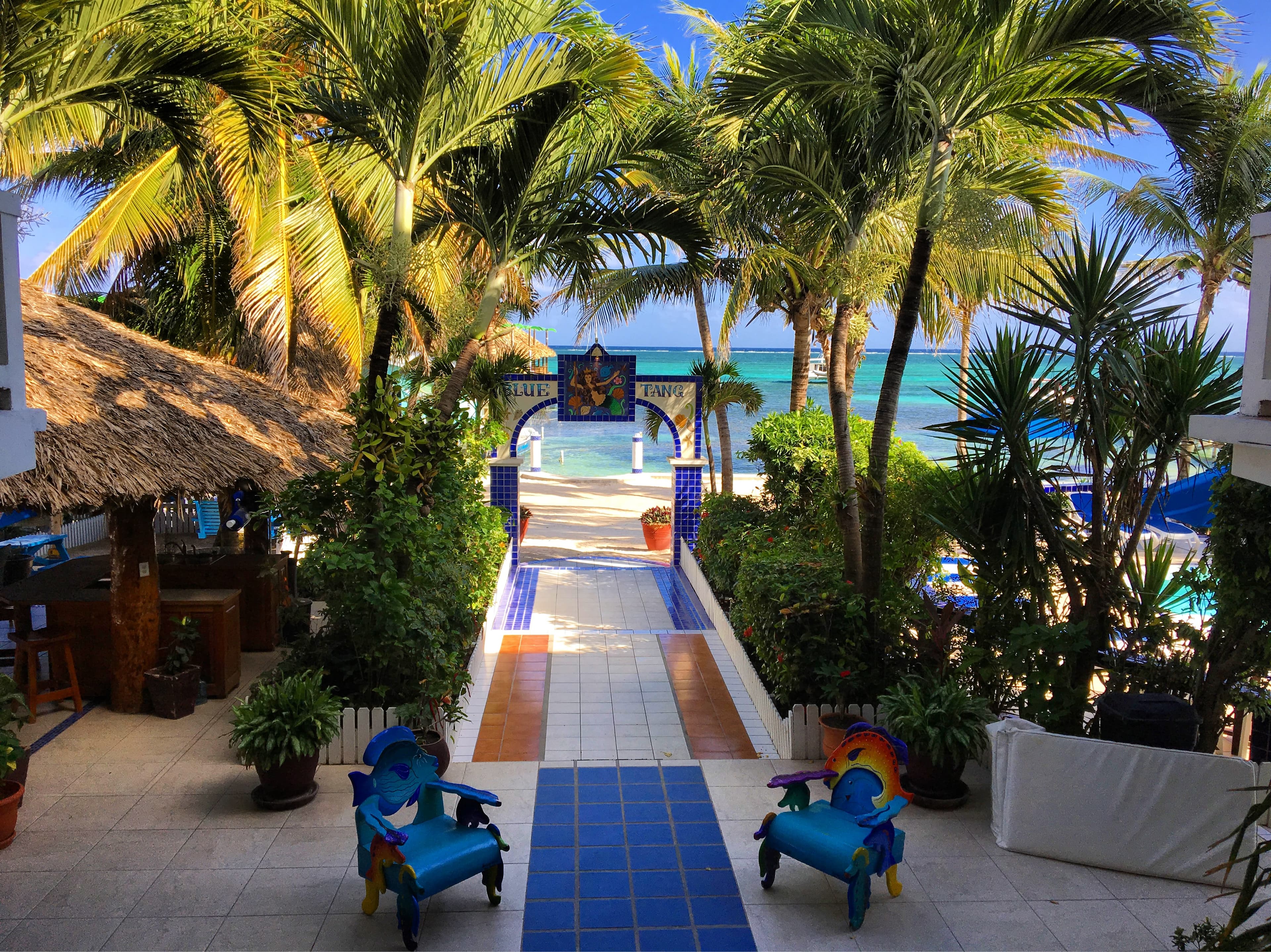 A paved pathway lined with tropical plants and palm trees leading towards a sandy beach and turquoise ocean under a blue sky.