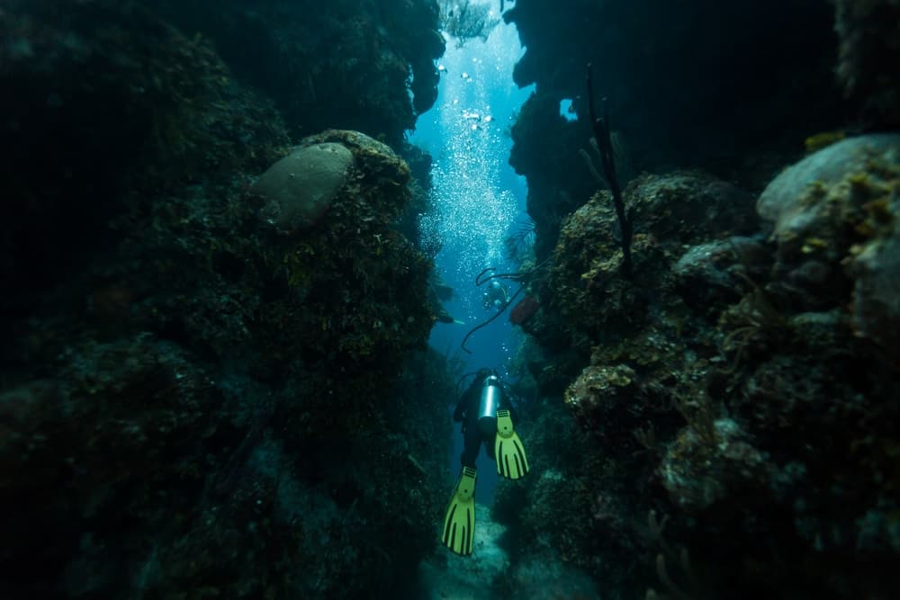 A diver with yellow fins explores a narrow underwater canyon surrounded by rocks and marine life.