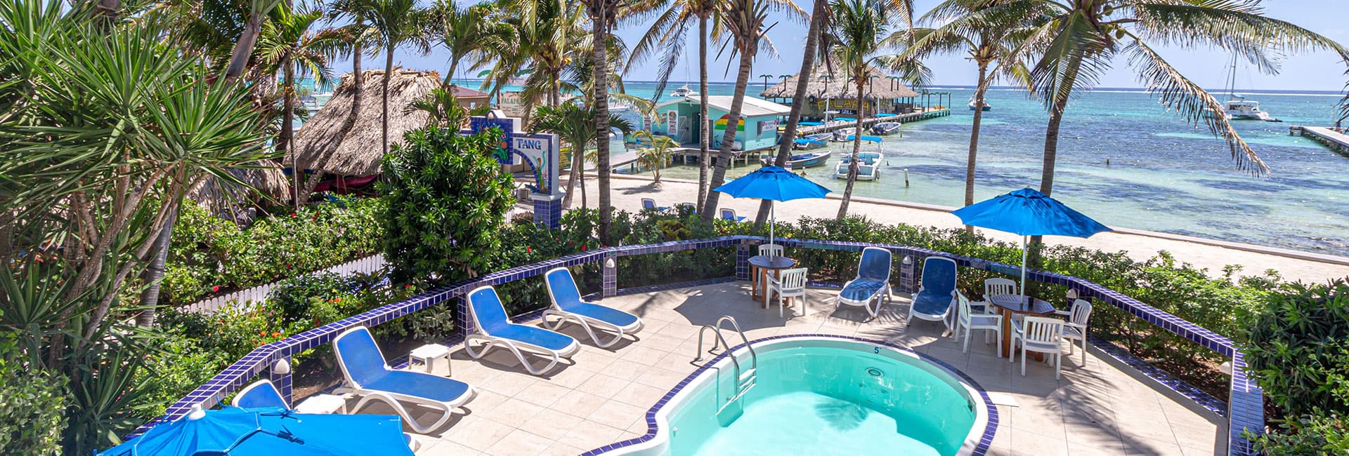 A sunny pool area surrounded by palm trees and beachside views.
