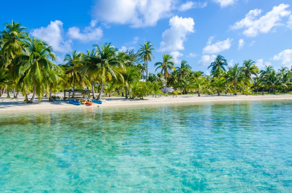 A serene tropical beach with clear water and palm trees under a blue sky.