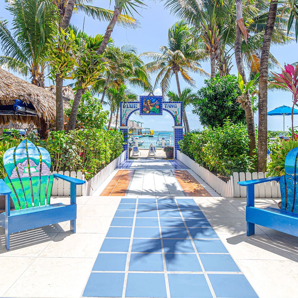A vibrant pathway lined with palm trees and blue chairs leads to a beach entrance.