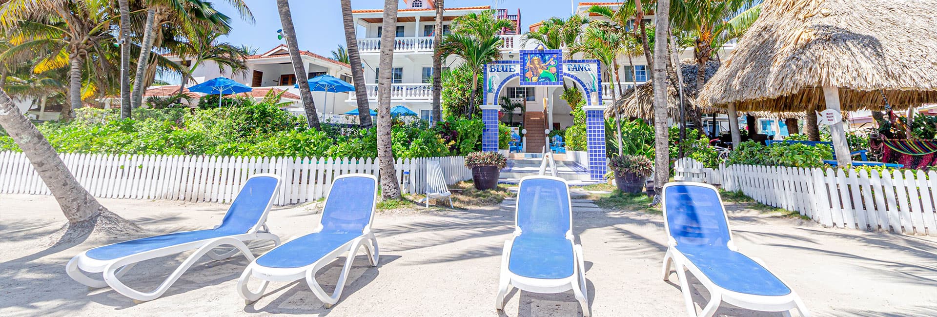 Lounge chairs face a colorful entrance to a beachside property surrounded by palm trees and greenery.