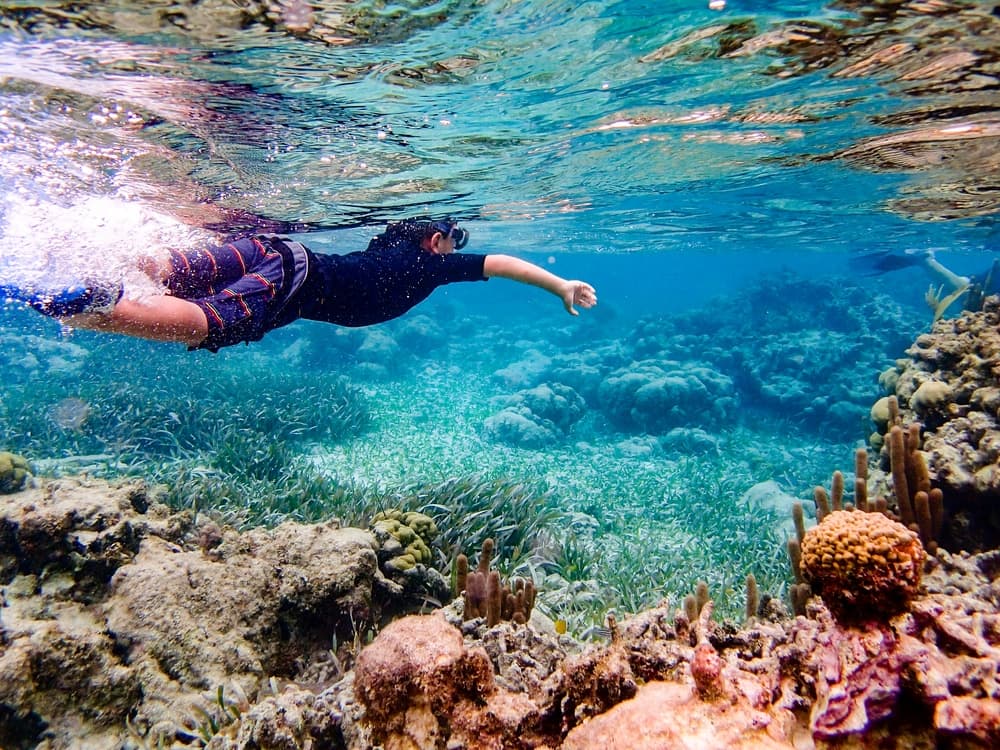 A child swims underwater among coral reefs and marine life.