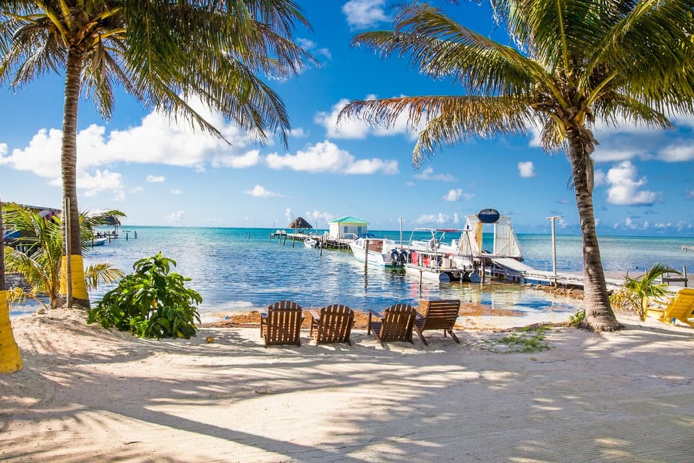 A serene beach scene featuring palm trees, wooden chairs, and a dock extending into turquoise waters under a bright blue sky.