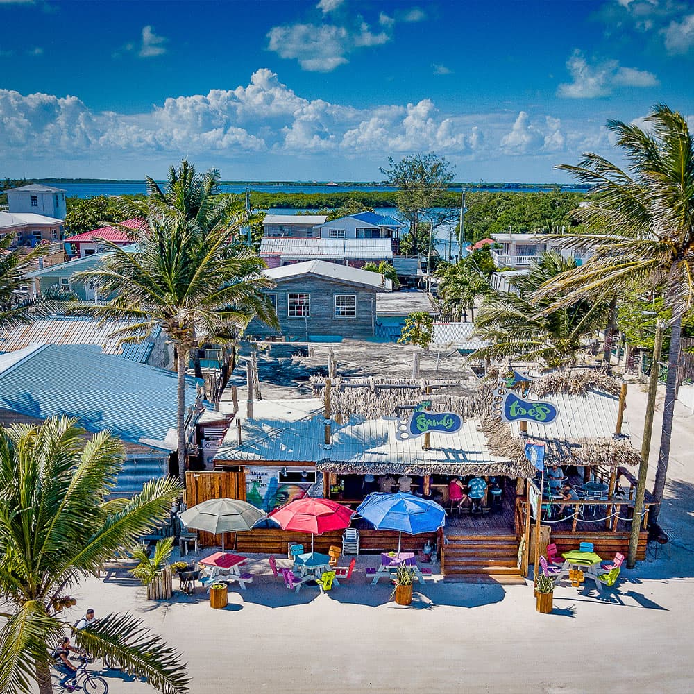 A beachside bar with colorful umbrellas surrounded by palm trees and a view of the water in the background.