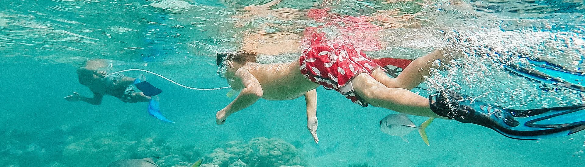 Two individuals are swimming underwater among colorful fish.