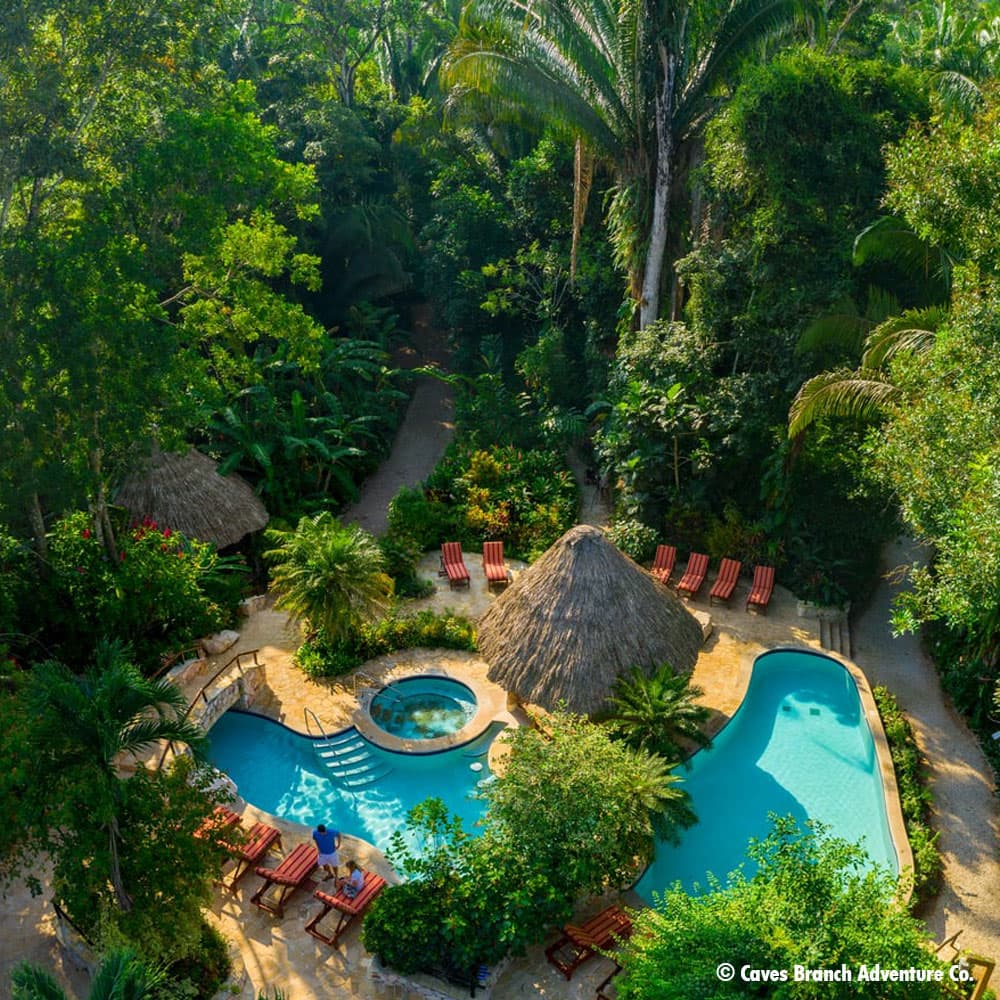 An aerial view of a serene jungle pool surrounded by lush greenery and lounge chairs.