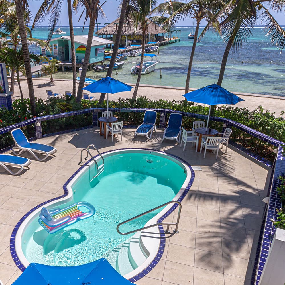 A pool area surrounded by lounge chairs and palm trees, overlooking the beach and boats.