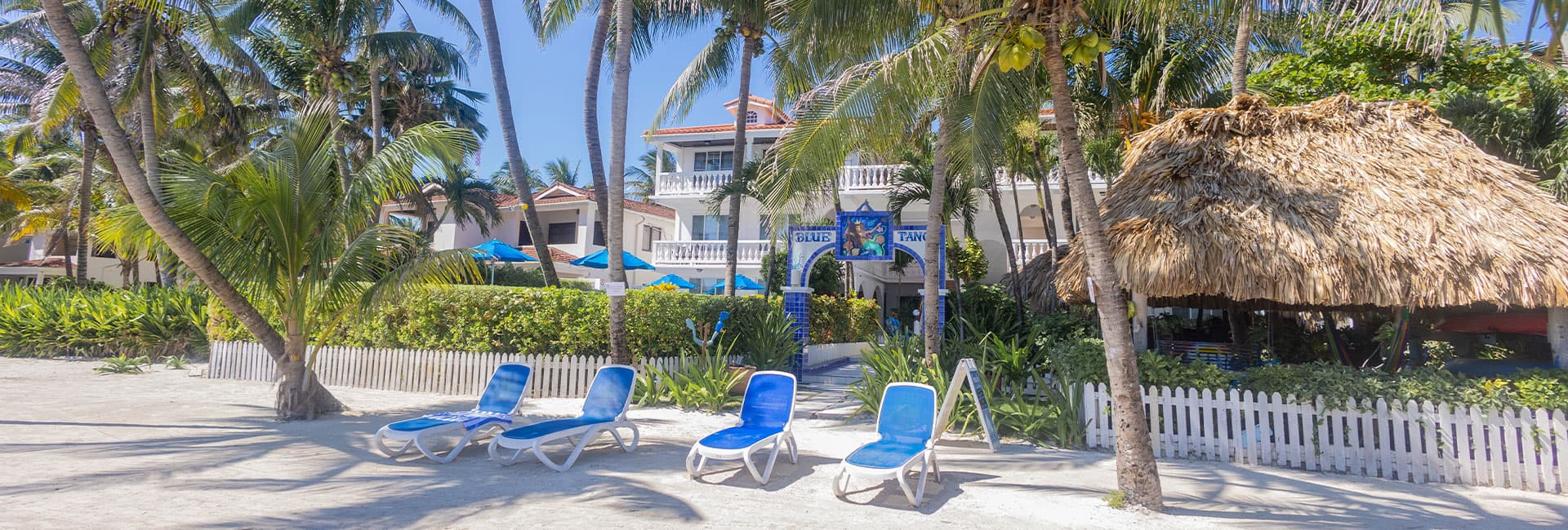 A beach scene with blue lounge chairs, palm trees, and a hotel in the background.