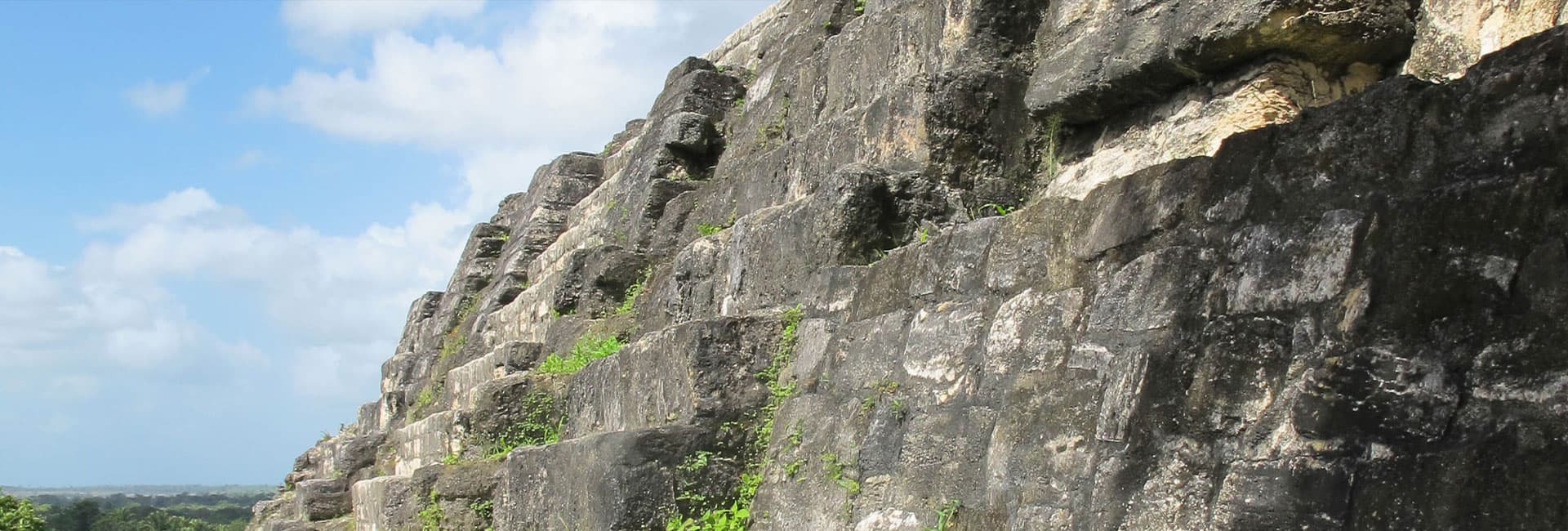 A rocky cliffside covered in vegetation under a blue sky.