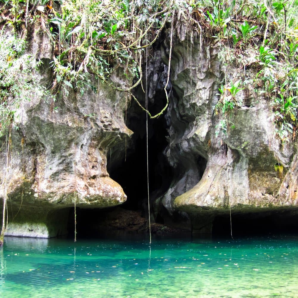 A secluded cave entrance surrounded by lush greenery and clear turquoise water.