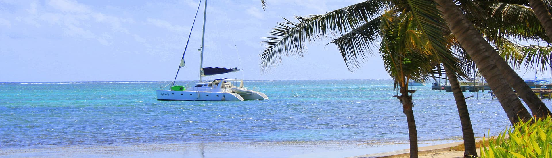A catamaran anchored near a sandy beach with palm trees and turquoise waters in the background.