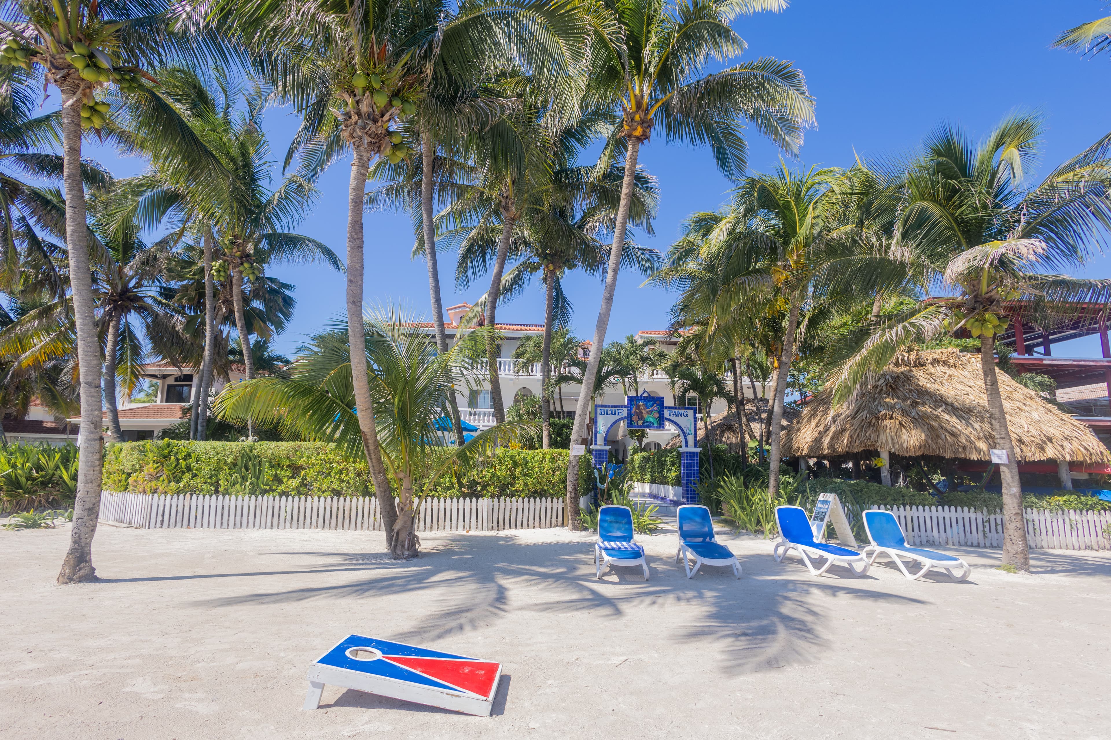 A sandy beach with palm trees, blue lounge chairs, and a cornhole game setup under a clear sky.