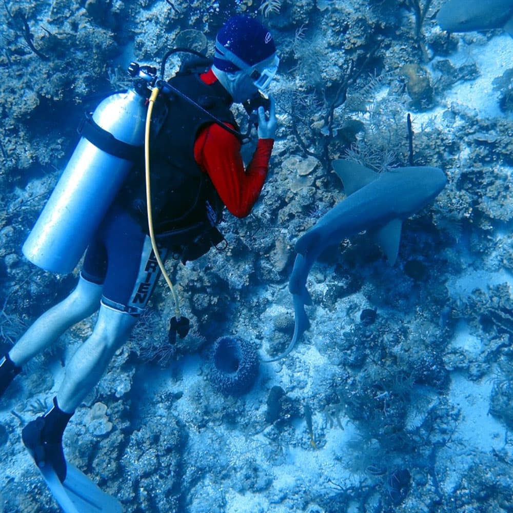 A diver interacts with a shark underwater amidst coral reefs.