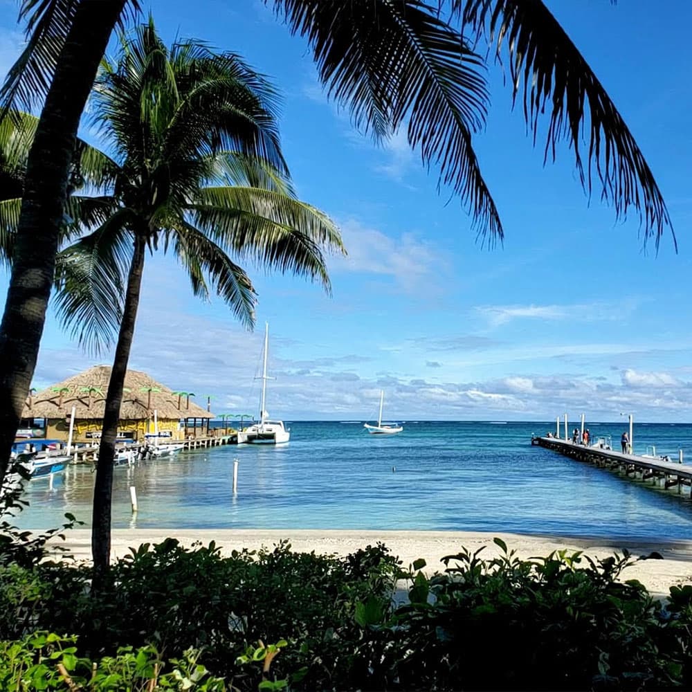 Tropical scene with palm trees, a sandy beach, and boats anchored near a wooden pier under a clear blue sky.