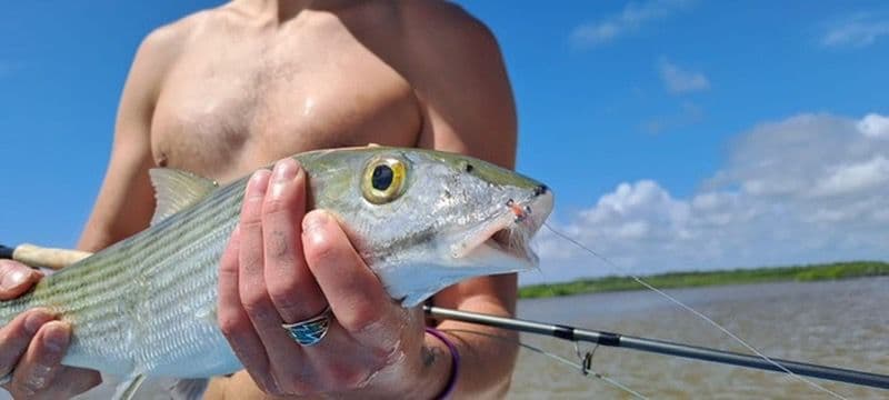 A shirtless person holds a fish against a blue sky backdrop.