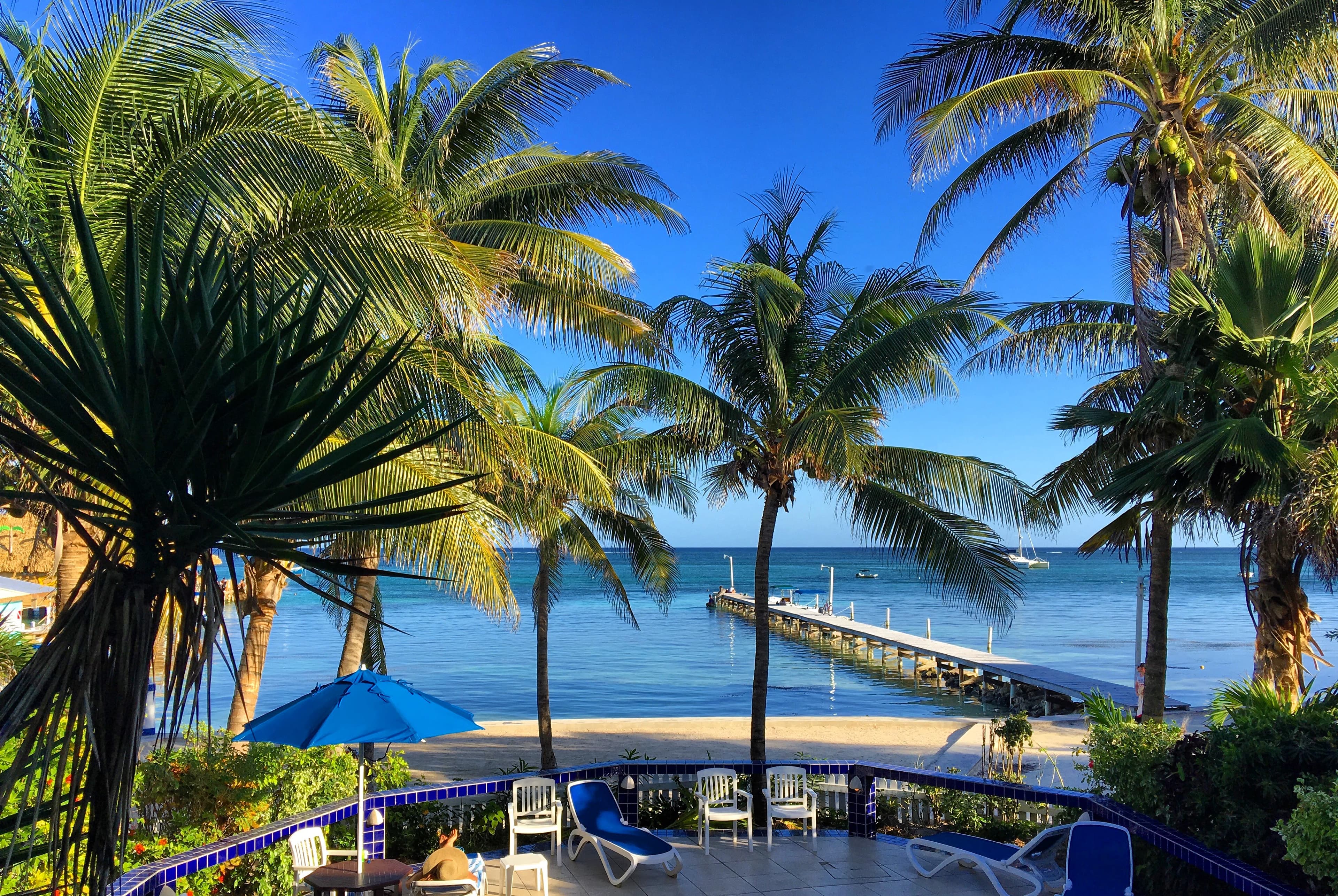 Balcony View of the swimming pool, palm trees, beach and ocean with pier