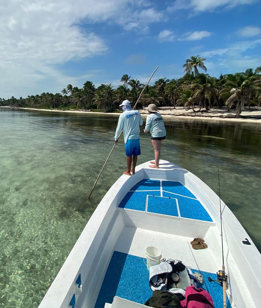 Two people stand on a small boat in shallow water, surrounded by palm trees and a clear blue sky.