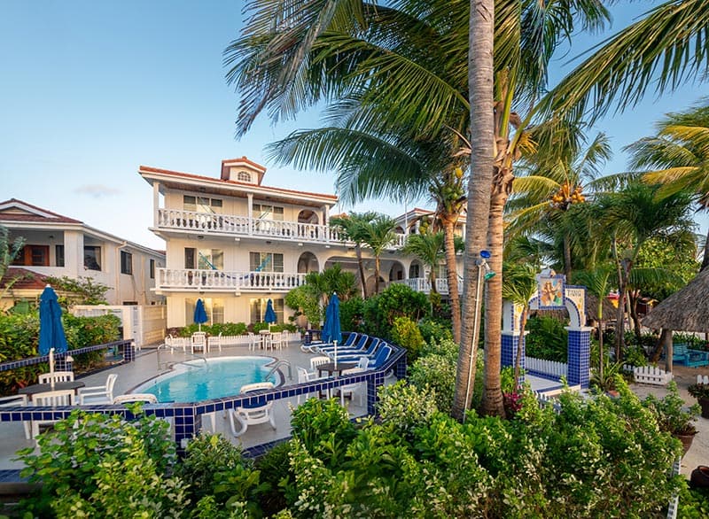 A tropical resort scene featuring a swimming pool surrounded by lush greenery and palm trees.