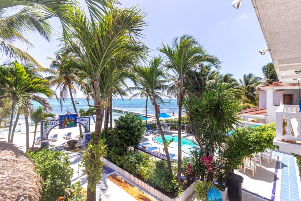 Tropical landscape featuring palm trees, a swimming pool, and the ocean in the background.