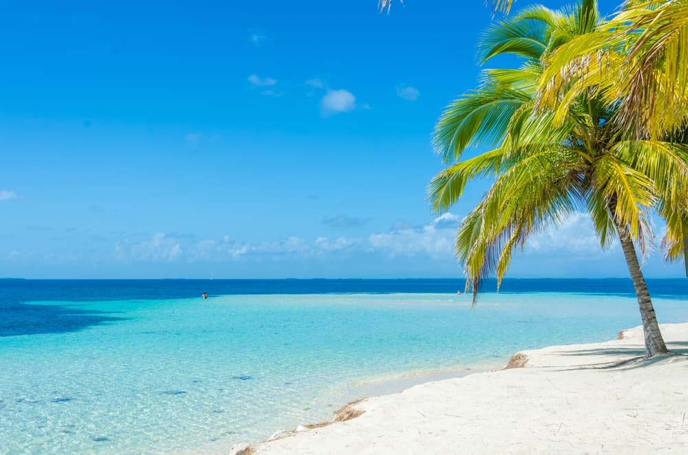 A serene beach scene with clear turquoise water, soft sand, and palm trees under a bright blue sky.