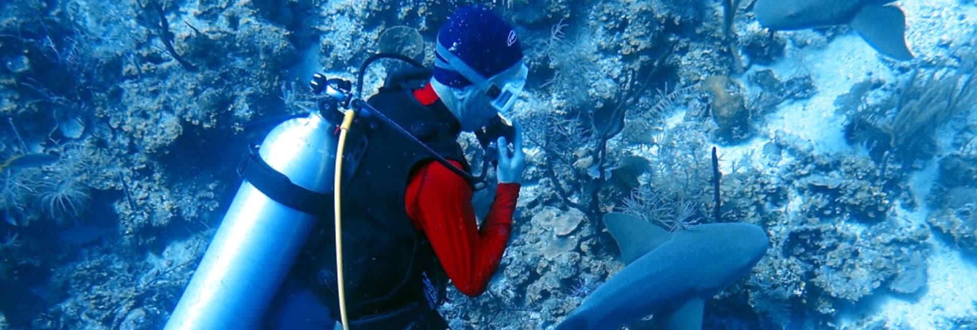 A scuba diver interacts with marine life in a coral reef environment.