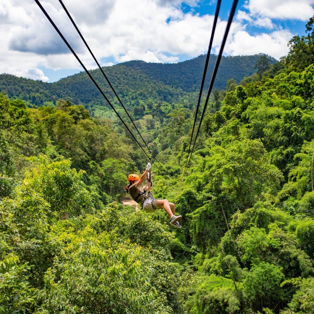 A person zip lines through a lush, green forest with mountains in the background.