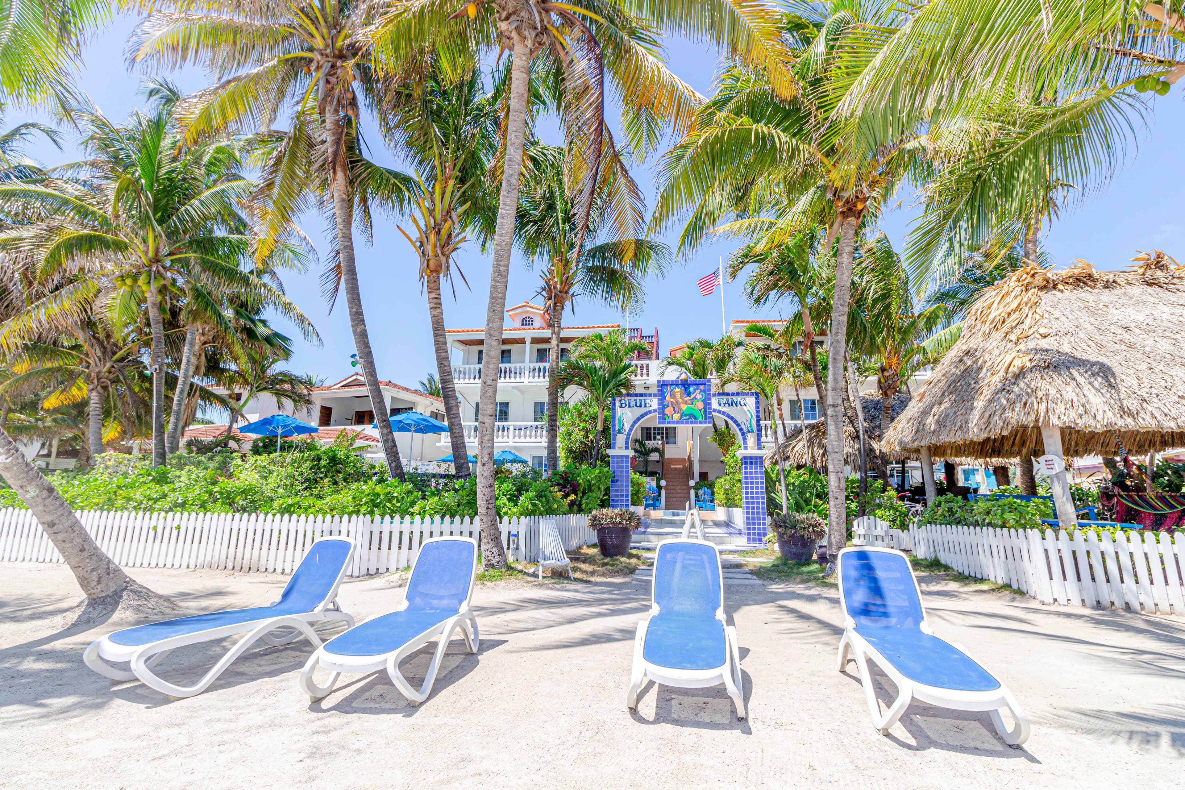 Lounge chairs on a sandy beach surrounded by palm trees and a tropical resort.