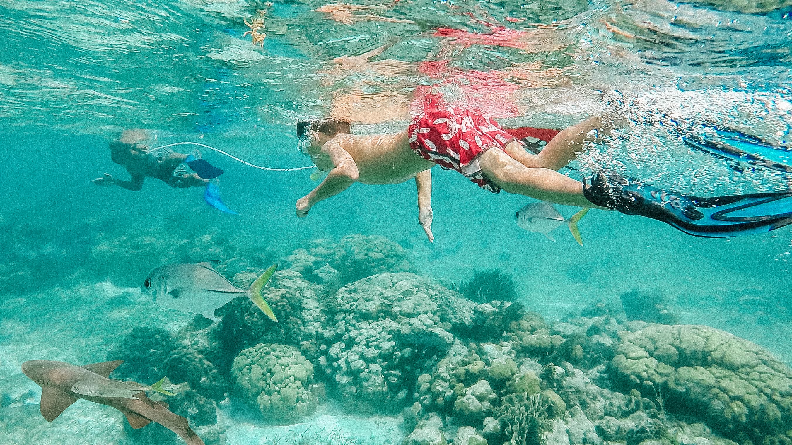 Two children snorkeling among colorful fish and coral in clear water.