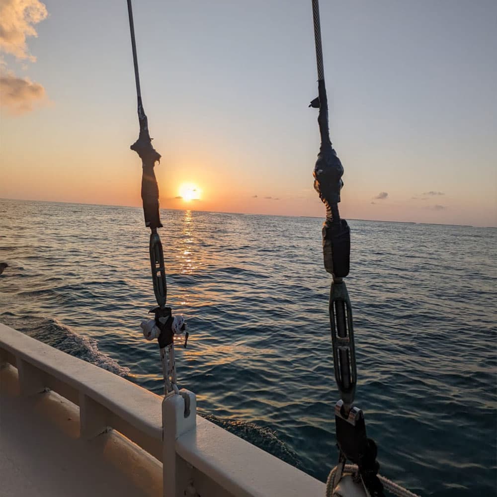 Sunset over calm waters, framed by sailing ropes.