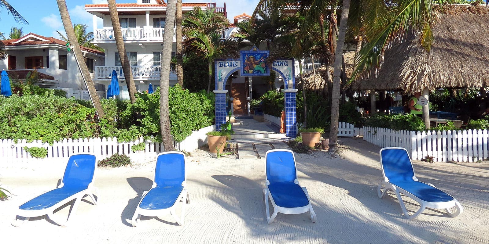 After a snorkeling adventure in Shark Ray Alley in Belize, relax on the beach in front of our waterfront hotel in San Pedro, Belize