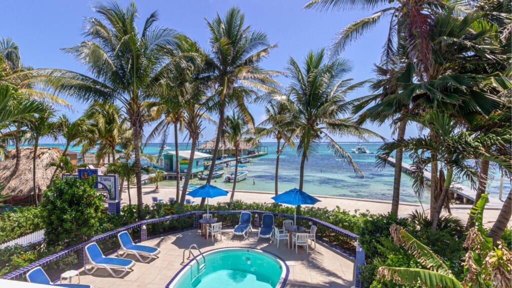 view blue tang inn pool and beach with palm trees